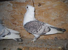 DSCN0081