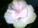 04022013776