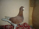 DSC04076