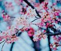 tumblr_mg0trangHG1r2zbkxo1_400_thumb