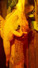 2013-02-02_16-46-52_226