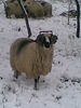 Image0017