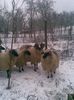 Image0028