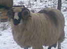 Image0045