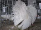 DSCF3099