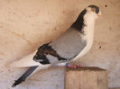 DSCF5454