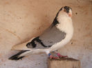 DSCF5459