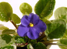 IMAG0031