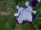 DSCN0882