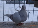 DSC03195