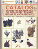catalog cluj 2013