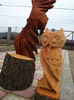 DSCF0092