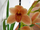 DSCN0808