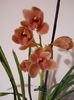 DSCN0816