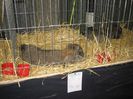 IMG_0123
