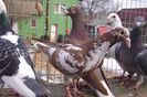 DSC08440
