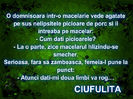 pizap.com10.77849005814641711358868658843