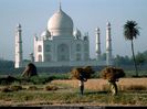Taj-Mahal-templul-iubirii2-540x405