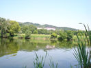 DSC03679