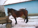 DSCF1529
