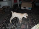 SAM_0266