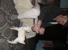 SAM_0269
