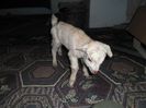 SAM_0271