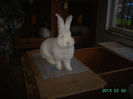 Austria-Germania 02.02.13. 034