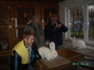 Austria-Germania 02.02.13. 044