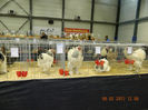 DSCN0643