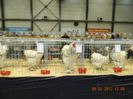 DSCN0644