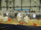 DSCN0651