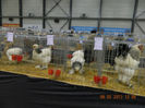 DSCN0653