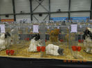 DSCN0656
