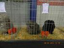 DSCN0680