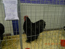 DSCN0694