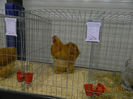 DSCN0697