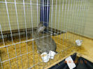 DSCN0711