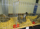DSCN0715