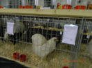 DSCN0730