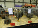 DSCN0737