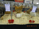 DSCN0754