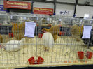 DSCN0755