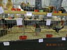 DSCN0772