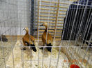 DSCN0839