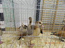 DSCN0840