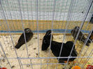 DSCN0843