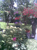 Imag131