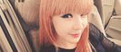bom