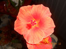 DSCN2626